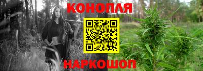 крисы Бийск
