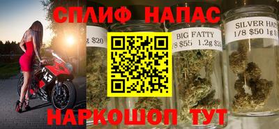 гашик Берёзовский
